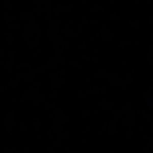 Meet your Posher, Skylier